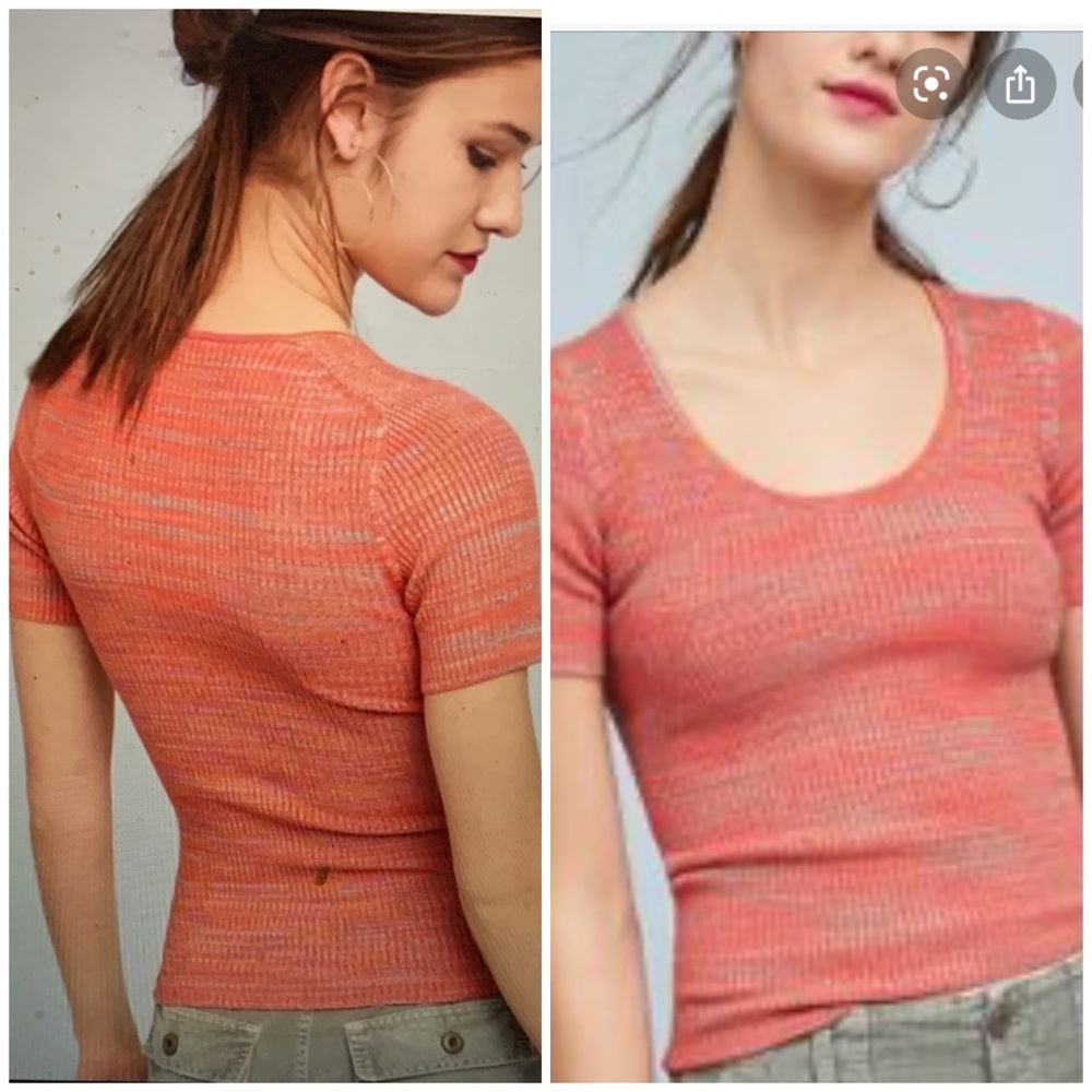 Anthropology Moth Ribbed Sweater